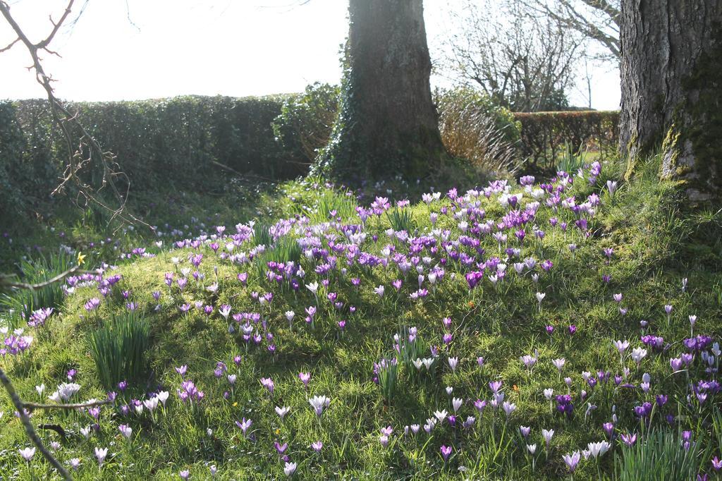 Ballyhargan Farm House Dungiven Luaran gambar