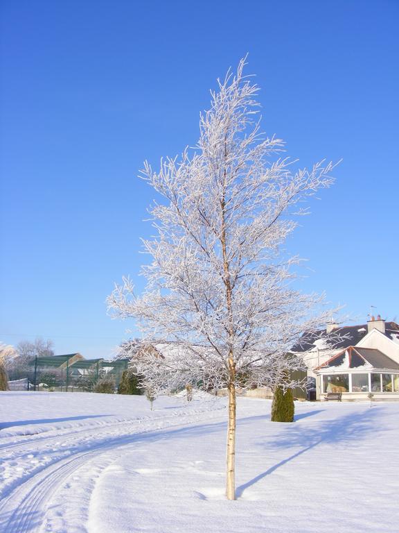 Ballyhargan Farm House Dungiven Luaran gambar