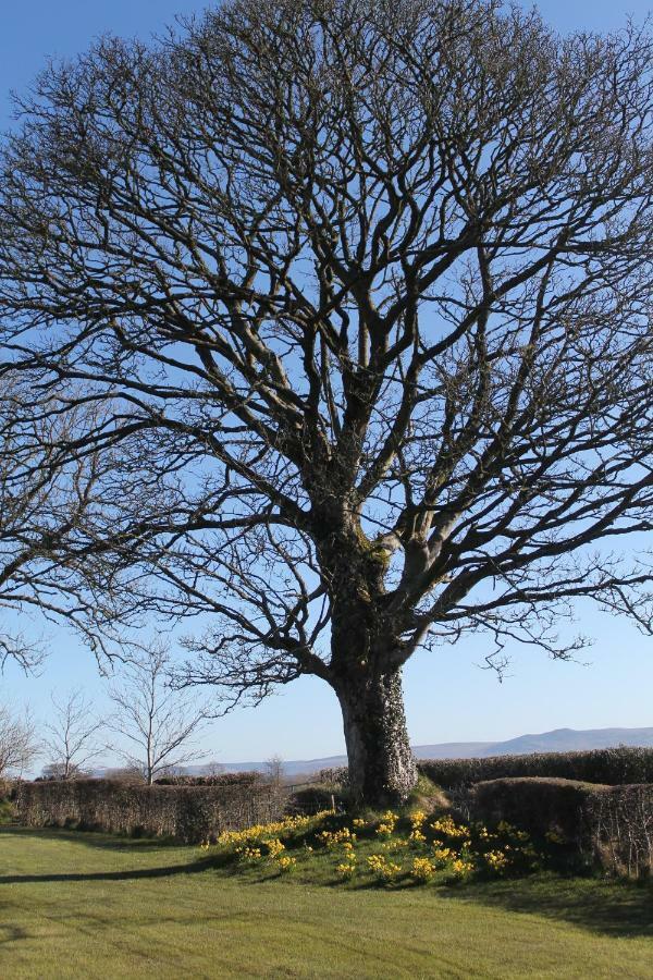 Ballyhargan Farm House Dungiven Luaran gambar